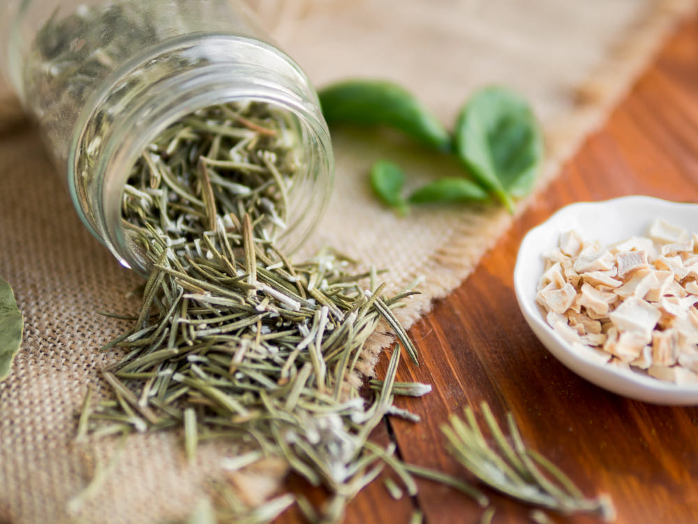 oregano (1)